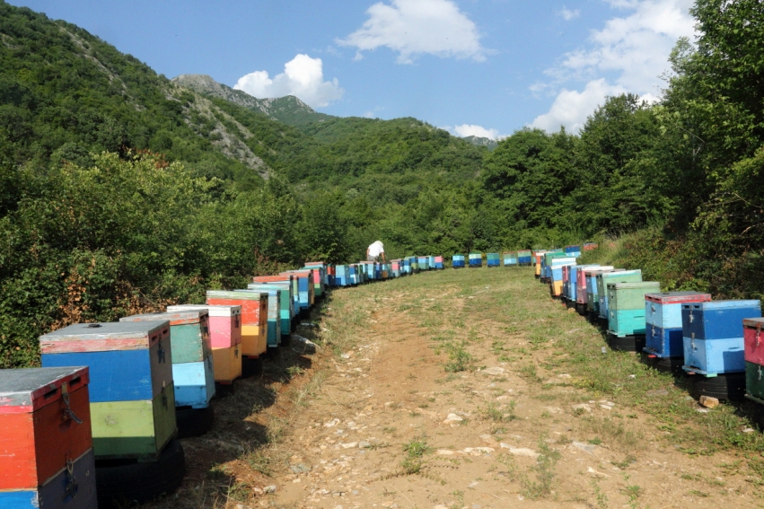 &Alpha;&gamma;&nu;ό &Mu;έ&lambda;&iota; &Alpha;&gamma;&kappa;ί&sigma;&tau;&rho;&omicron;&upsilon; &laquo;&Chi;ά&iota;&tau;&alpha;&sigmaf;&raquo;