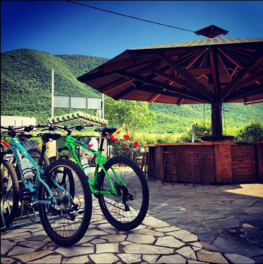 CAFE AGKISTRO ACTION